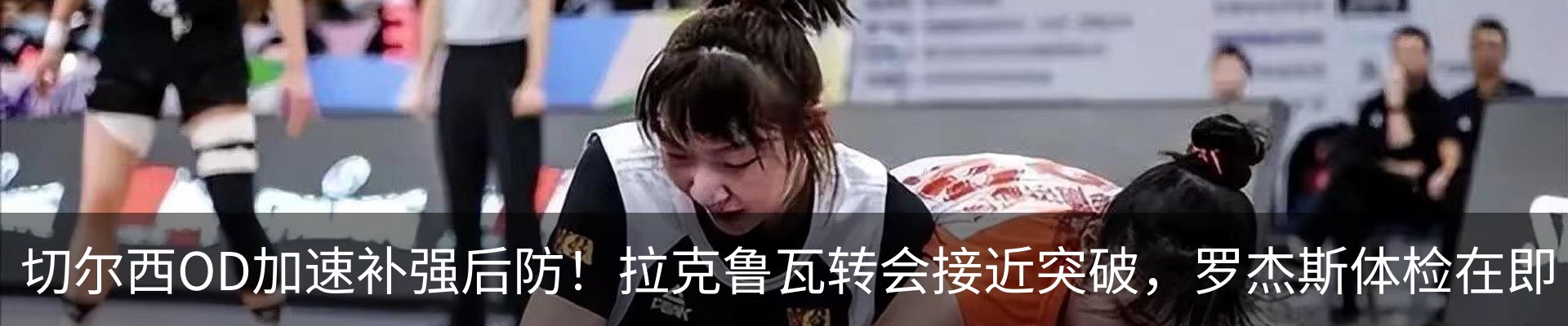最新动态