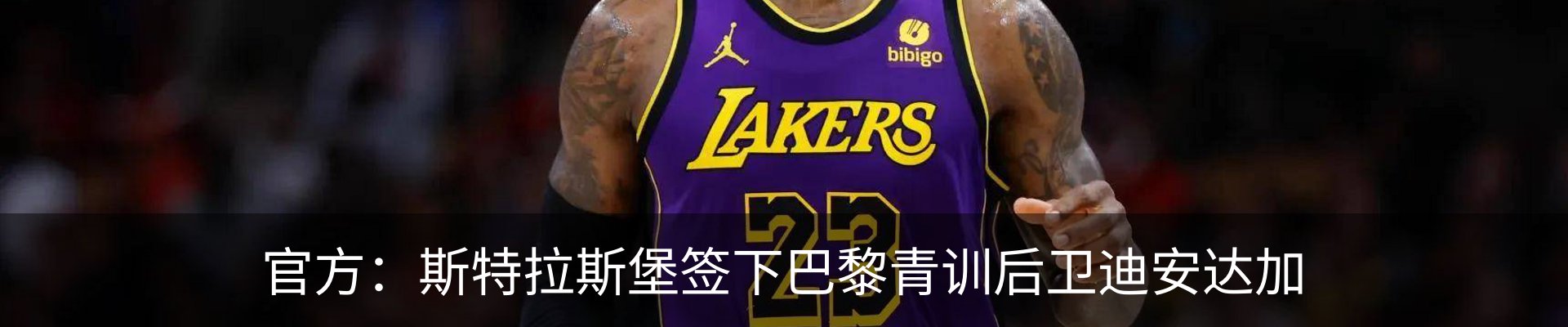 最新动态