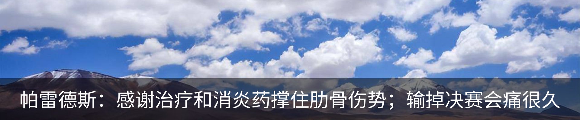 最新动态