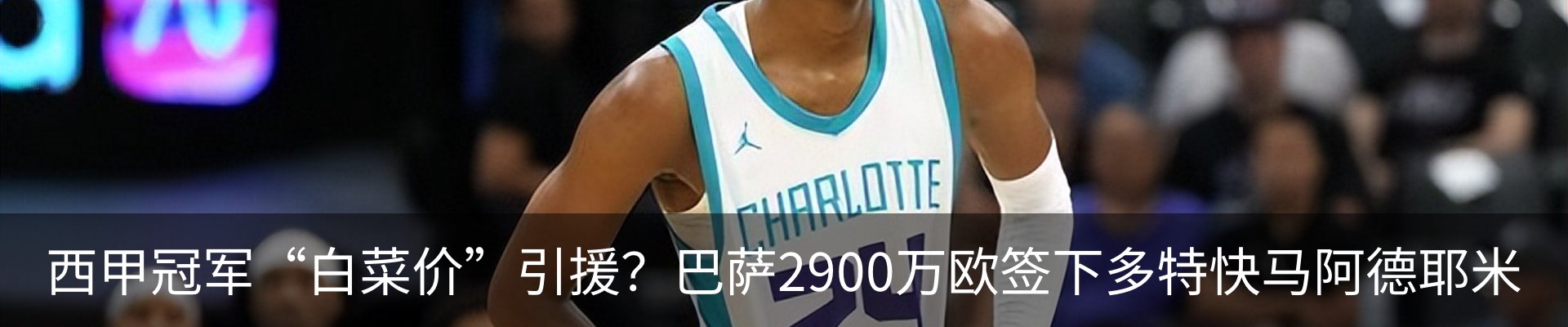 最新动态