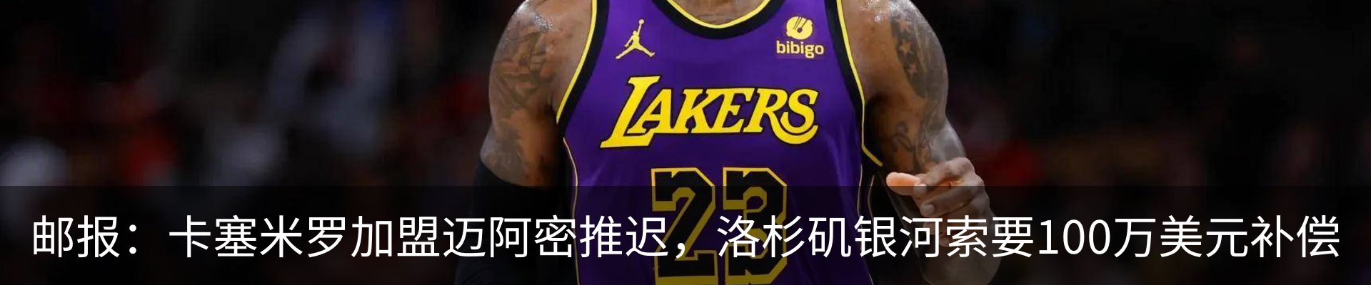 最新动态