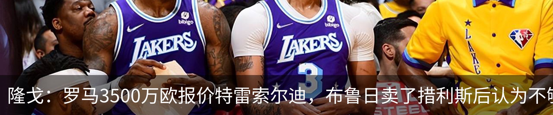 最新动态